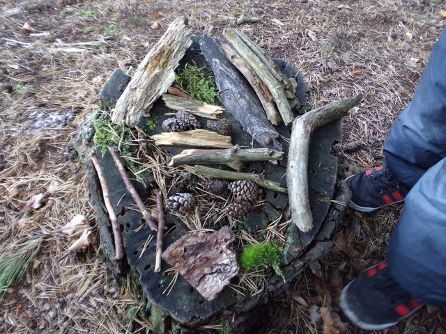 Waldkunst