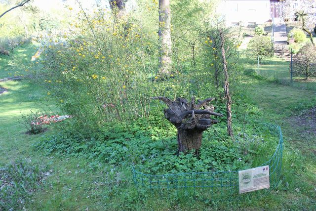 Wilde Ecke Anfang Mai