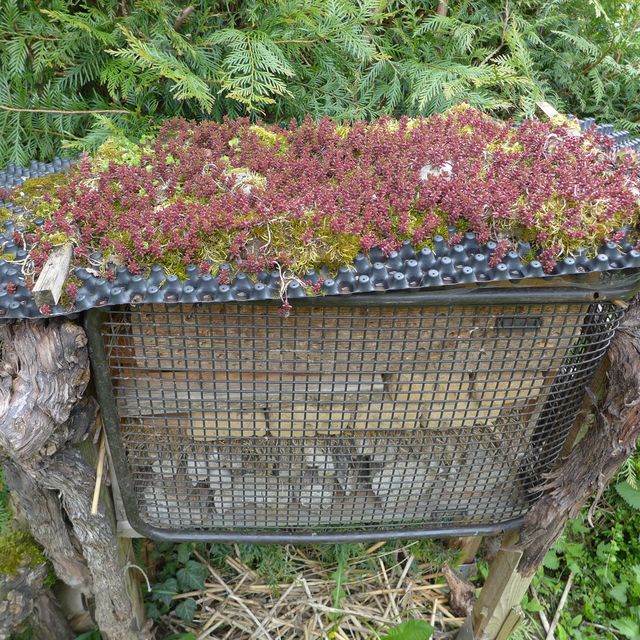 Insektenhotel