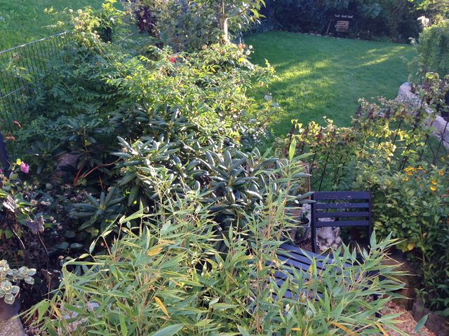 Unsere wilde Ecke