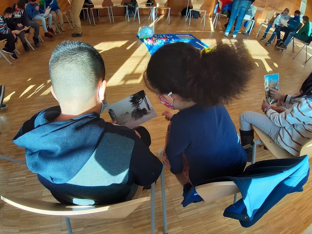 bild