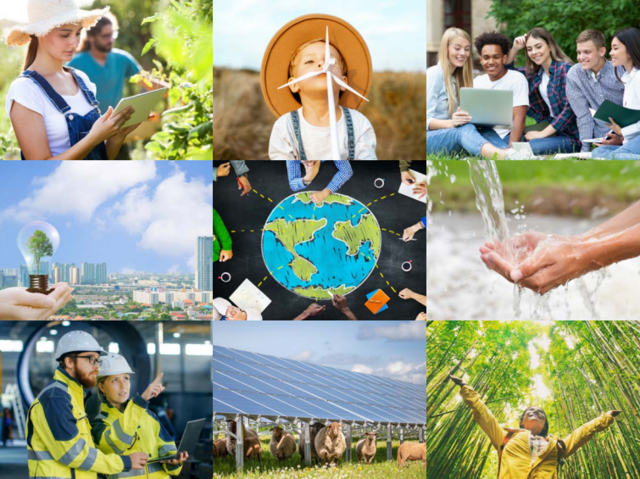 Fortschrittsbericht aus dem Sommer 2025